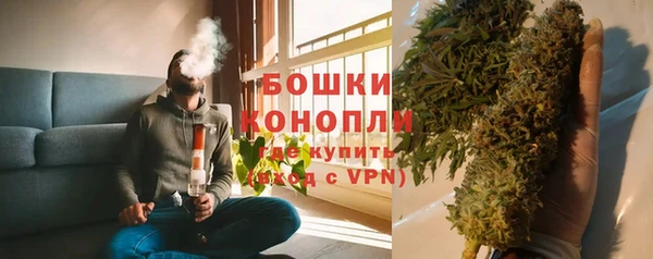 прущая мука Дмитриев