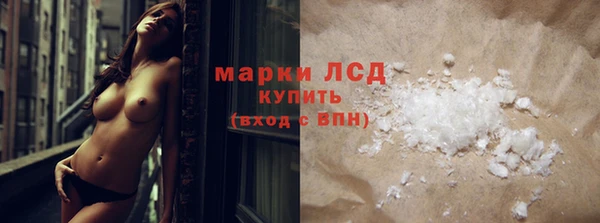 гидра Вязьма