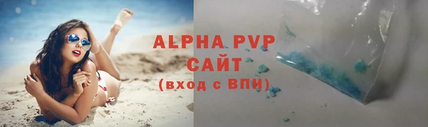 сатива Дмитровск
