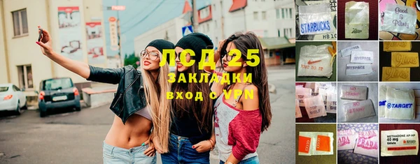 сатива Дмитровск