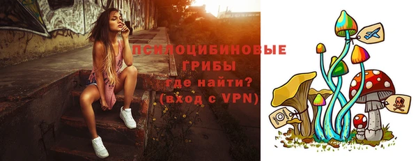 прущая мука Дмитриев