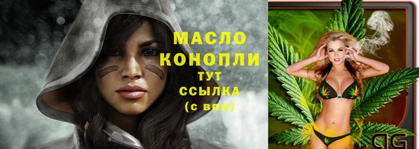 прущая мука Дмитриев