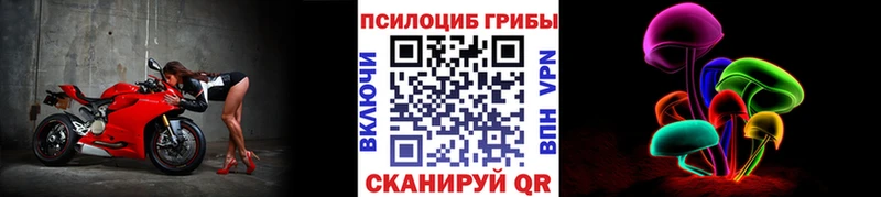 Галлюциногенные грибы GOLDEN TEACHER  Купить закладки  Неман 